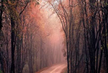 [NBA]德罗赞中距离跳投得手 率队追击比分.