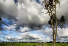 [国际足球]特拉奥雷超级世界波领衔一周十佳进球.