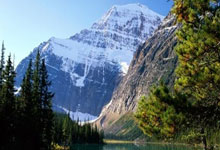 近场比赛取得胜平，阿根廷上次输给巴西还是在年.