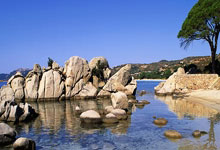 [CBA]王岚嵚单场最高 辽宁战胜福建.